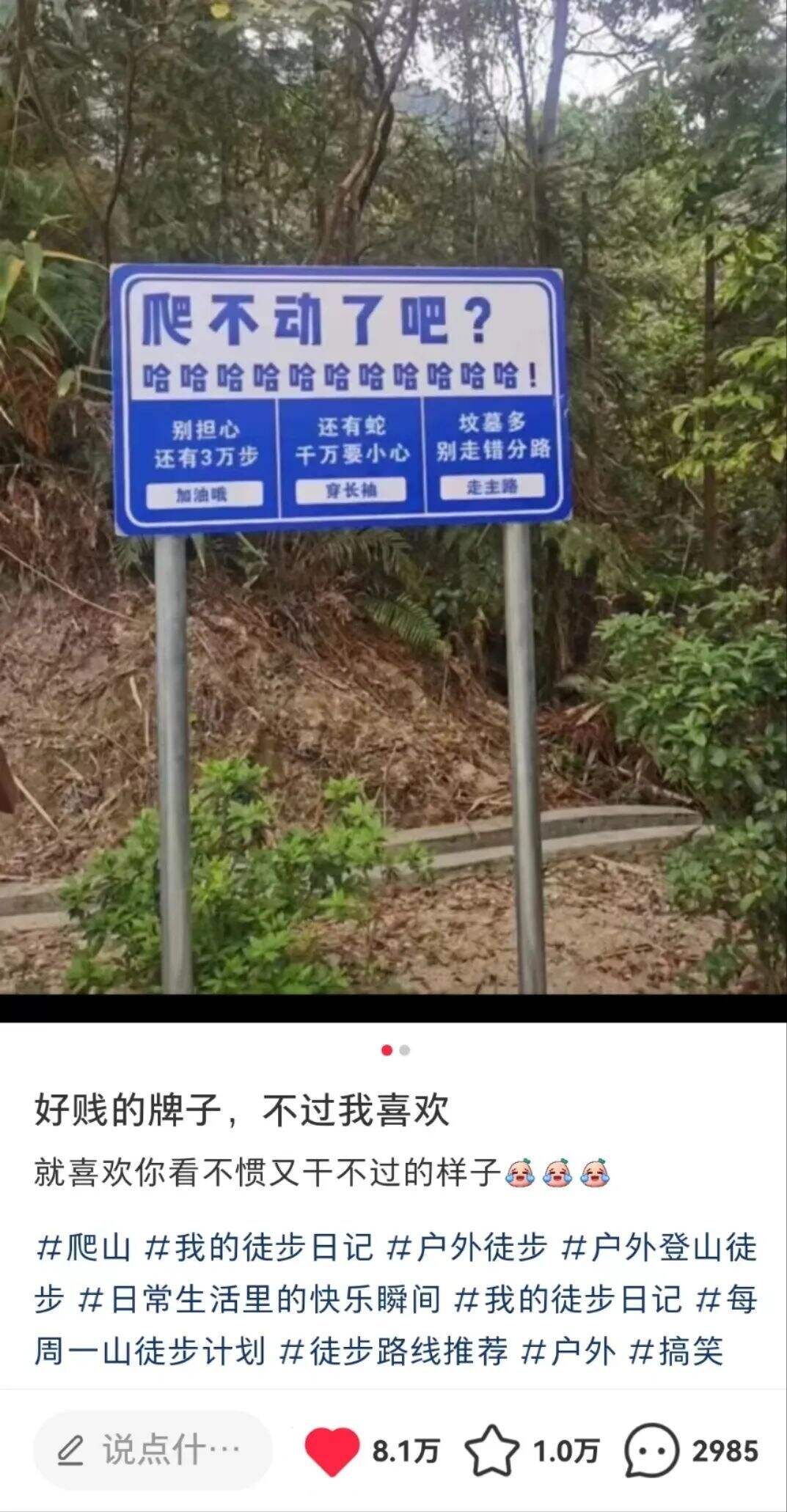 广告人干货库