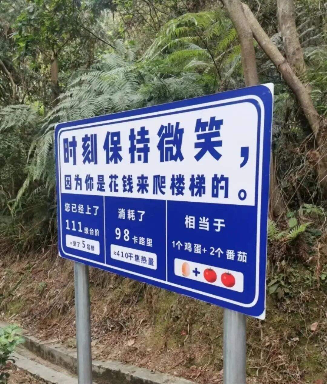 广告人干货库