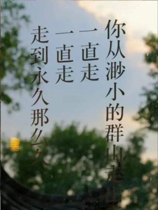 广告人干货库