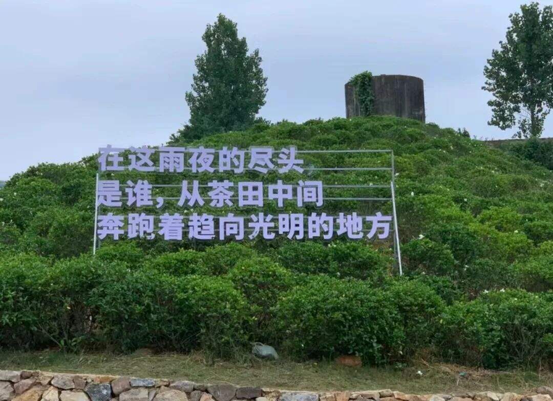 广告人干货库