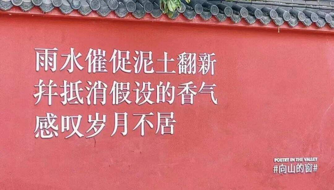 广告人干货库