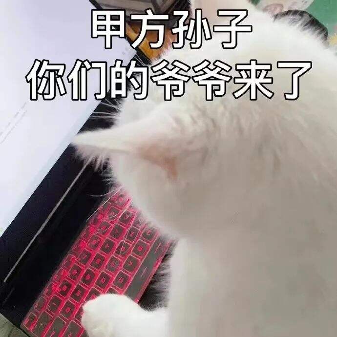 广告人干货库 山寨品牌大盘点,甲方看了直摇头-广告人干货库