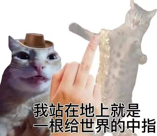 广告人干货库 山寨品牌大盘点,甲方看了直摇头-广告人干货库