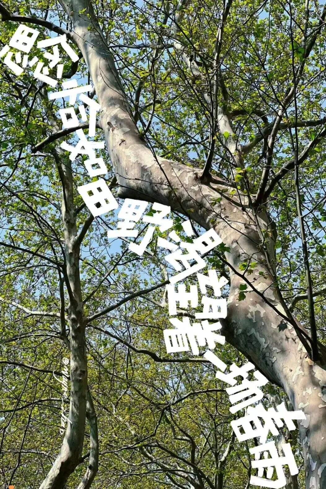 广告人干货库 文案|好文案,会放假-广告人干货库
