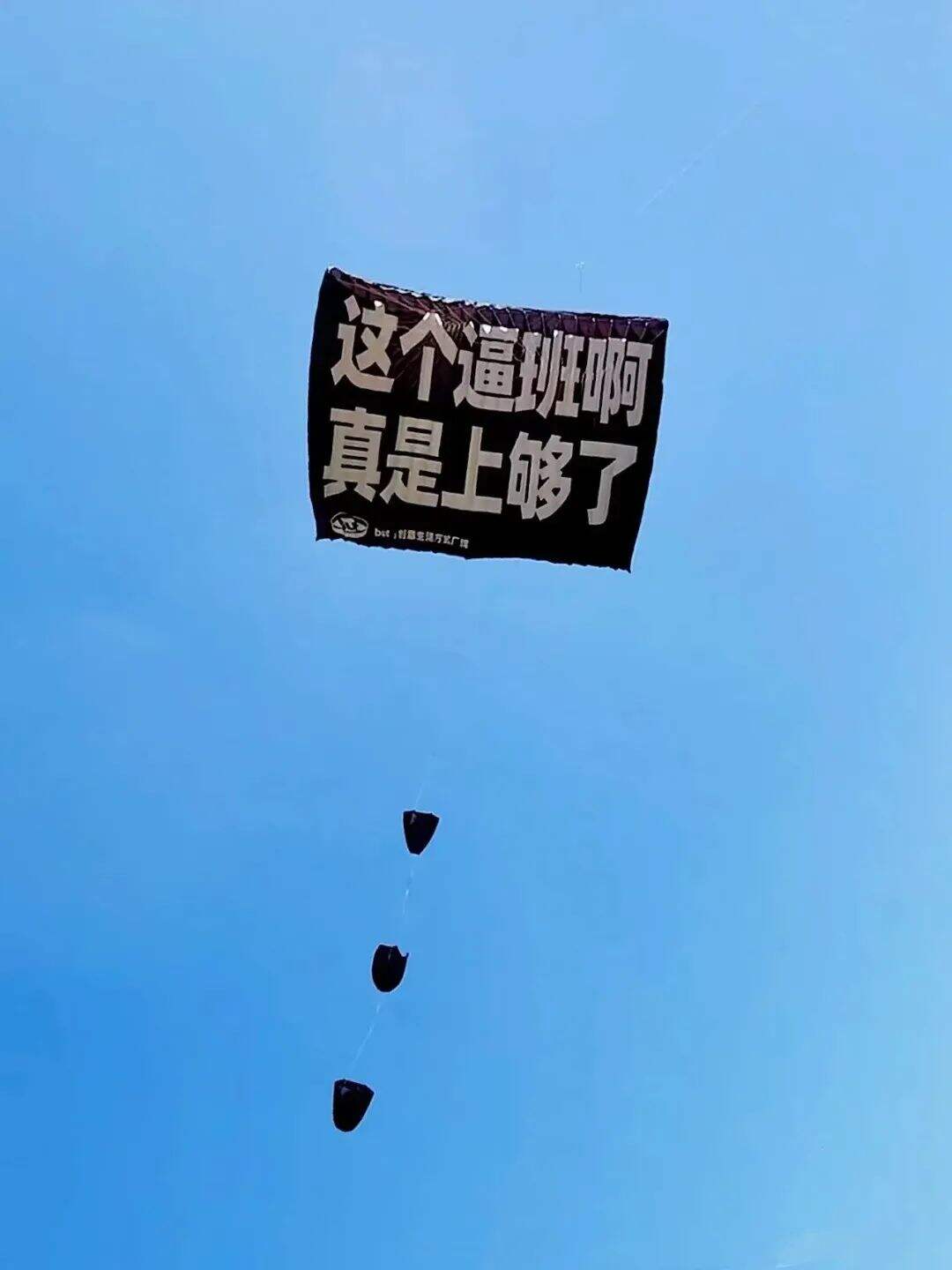 广告人干货库 淄博火了,广告人看到了这些-广告人干货库