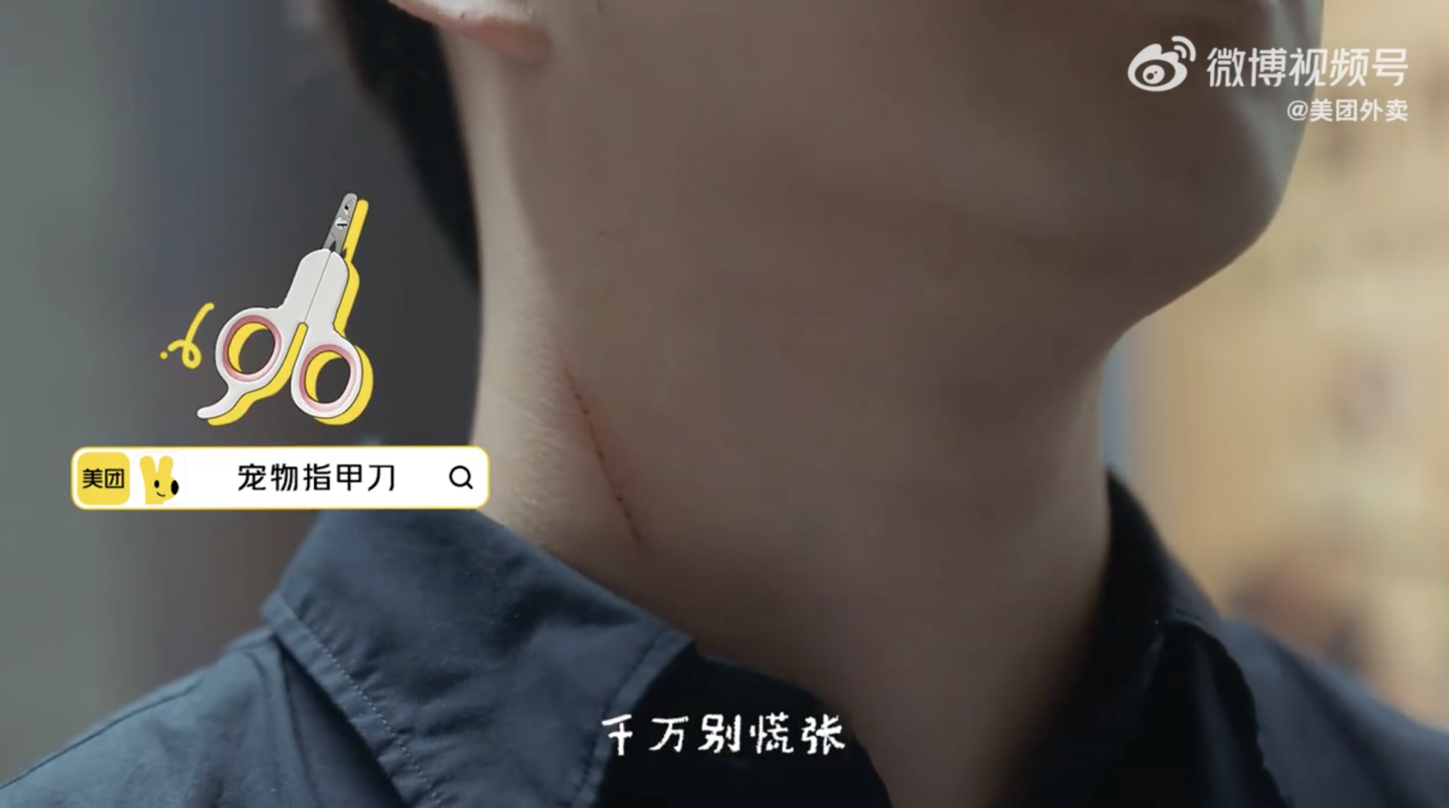 美团外卖创意广告,直击养宠人心声-广告人干货库