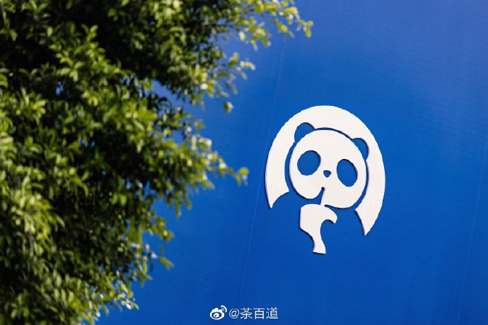 茶百道品牌焕新,英文名变Cha Panda强调熊猫形象-广告人干货库