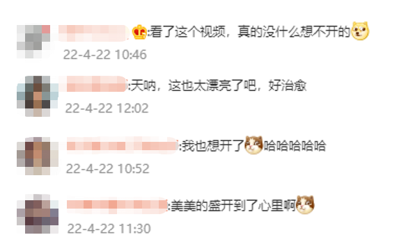 名创优品｜有了创意：这是一条能让人想开的视频-广告人干货库