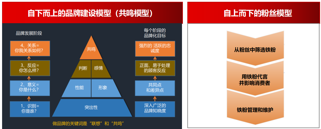 企业和政府该向淄博学什么？-广告人干货库