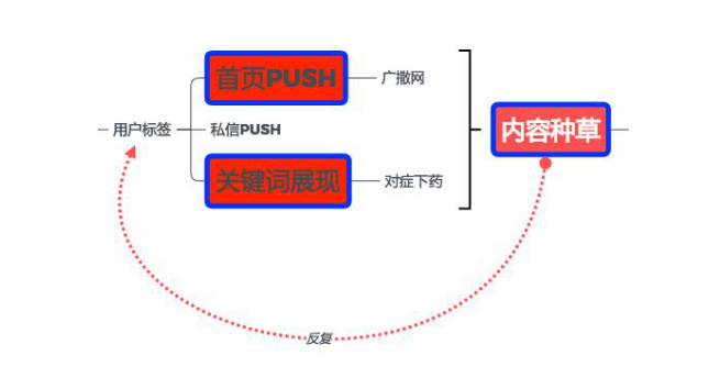 广告人干货库 为什么你在小红书“种不好草”-广告人干货库