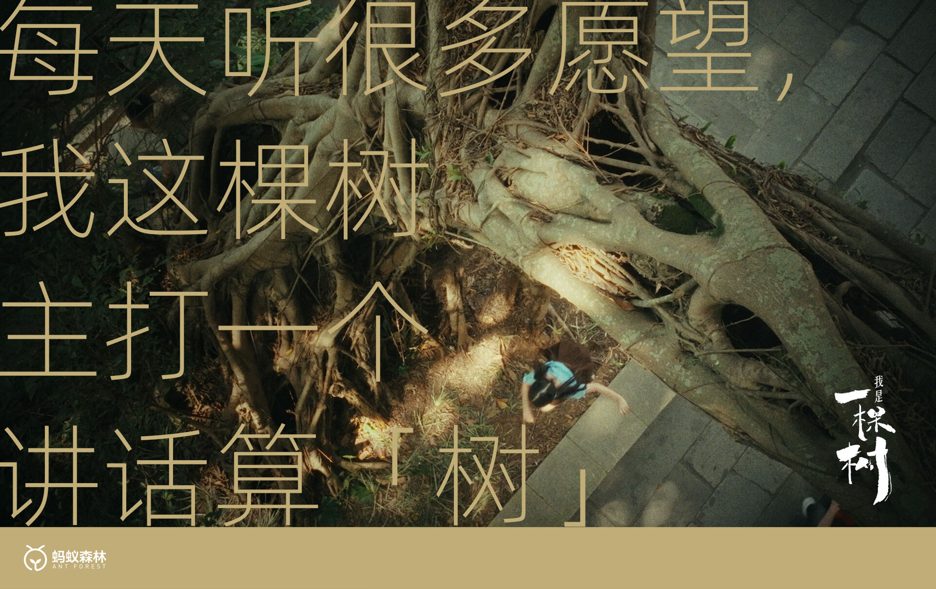 广告人干货库 蚂蚁森林:不装了,这次我们让树开口说话了-广告人干货库