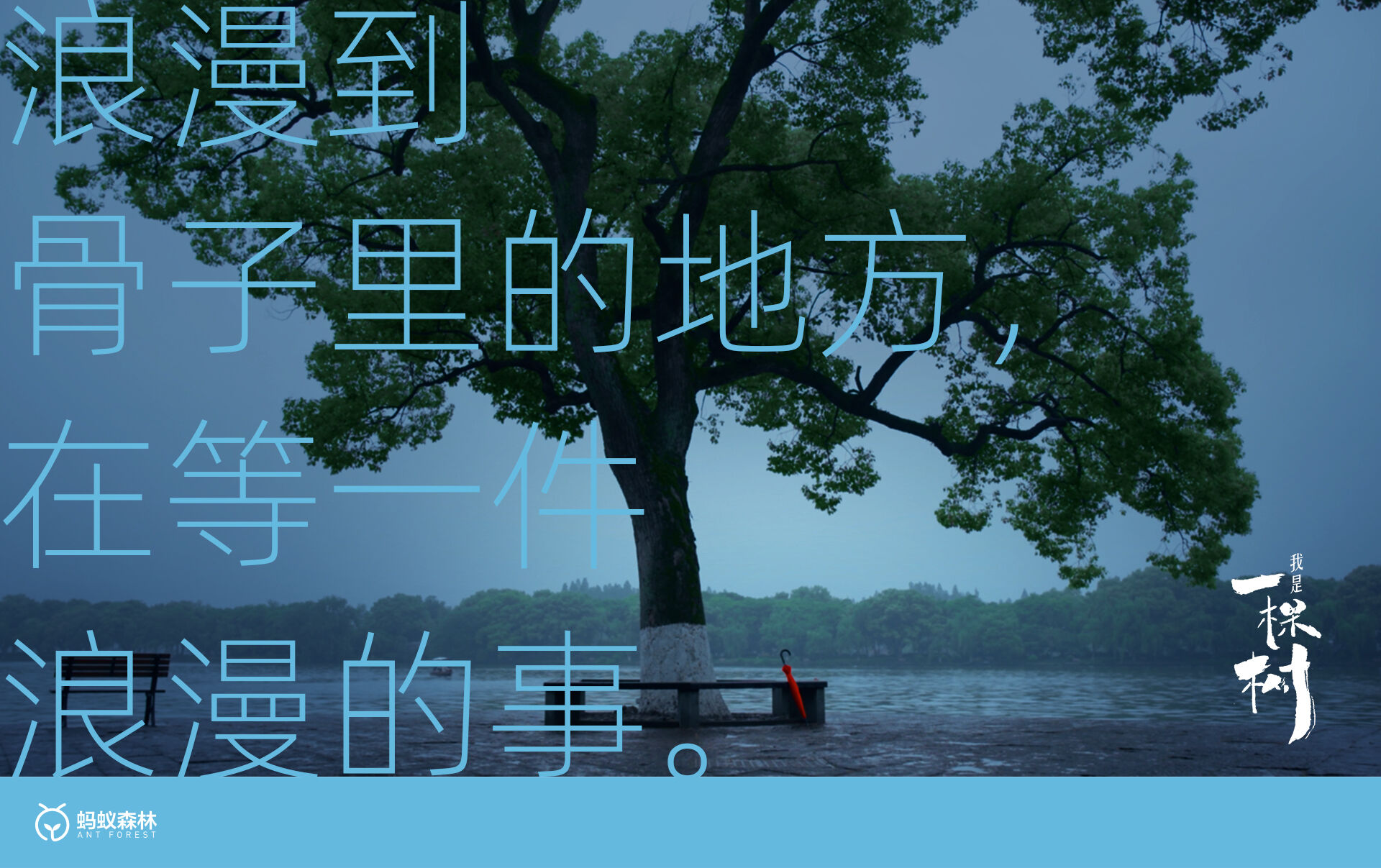 广告人干货库 蚂蚁森林:不装了,这次我们让树开口说话了-广告人干货库