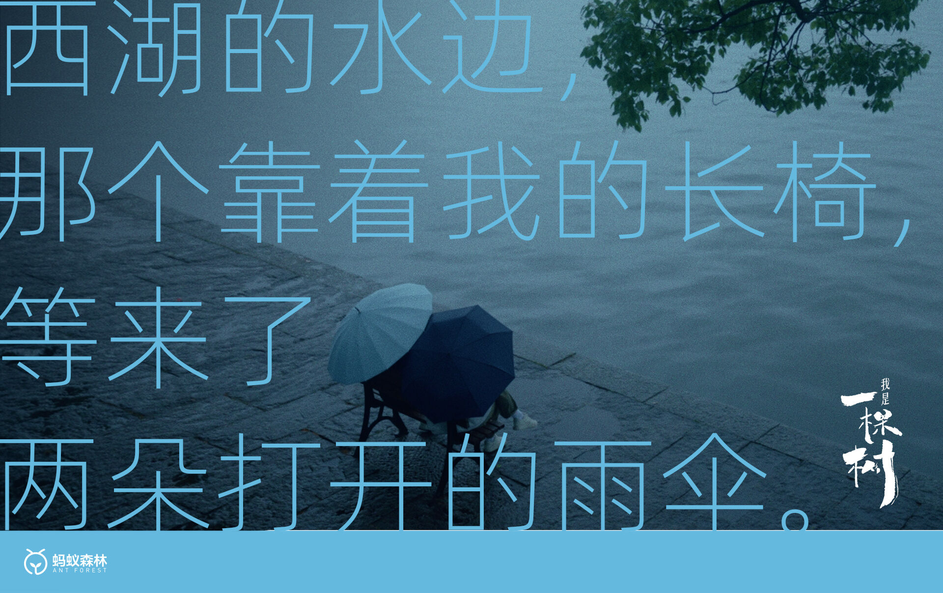 广告人干货库 蚂蚁森林:不装了,这次我们让树开口说话了-广告人干货库