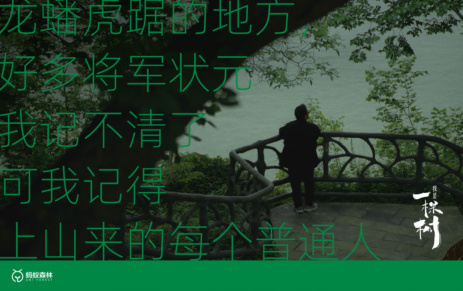 广告人干货库 蚂蚁森林:不装了,这次我们让树开口说话了-广告人干货库
