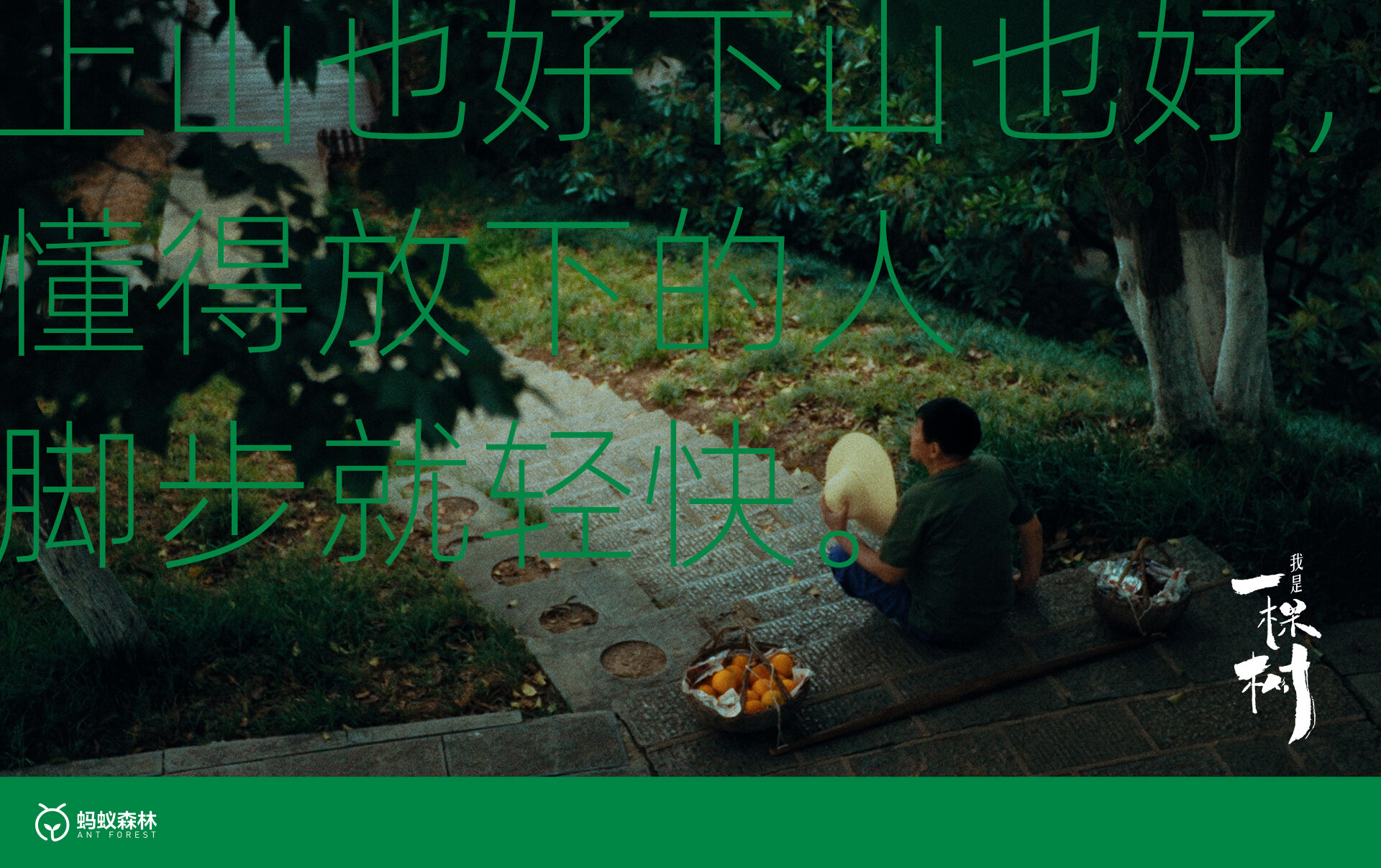 广告人干货库 蚂蚁森林:不装了,这次我们让树开口说话了-广告人干货库