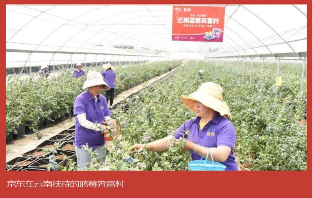 广告人干货库 壹捌零:京东把20年的陪伴,浓缩成了三个故事-广告人干货库