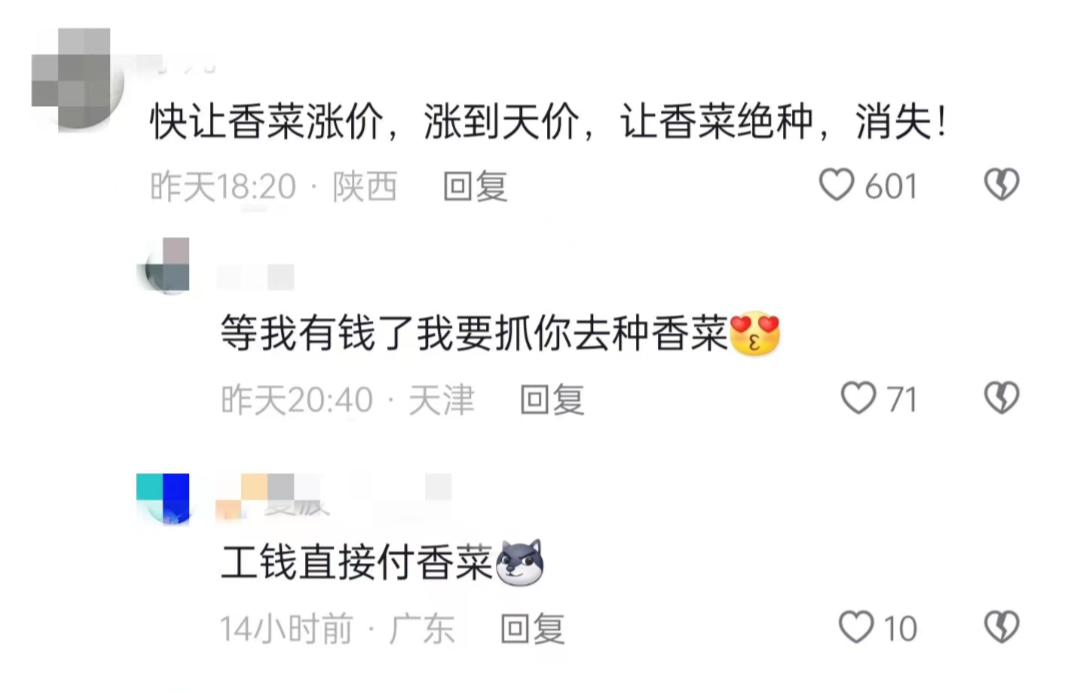 白象推出香菜泡面，你爱了吗-广告人干货库