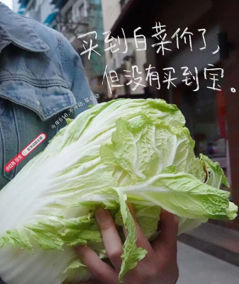 小红书今年618文案，有点反骨-广告人干货库