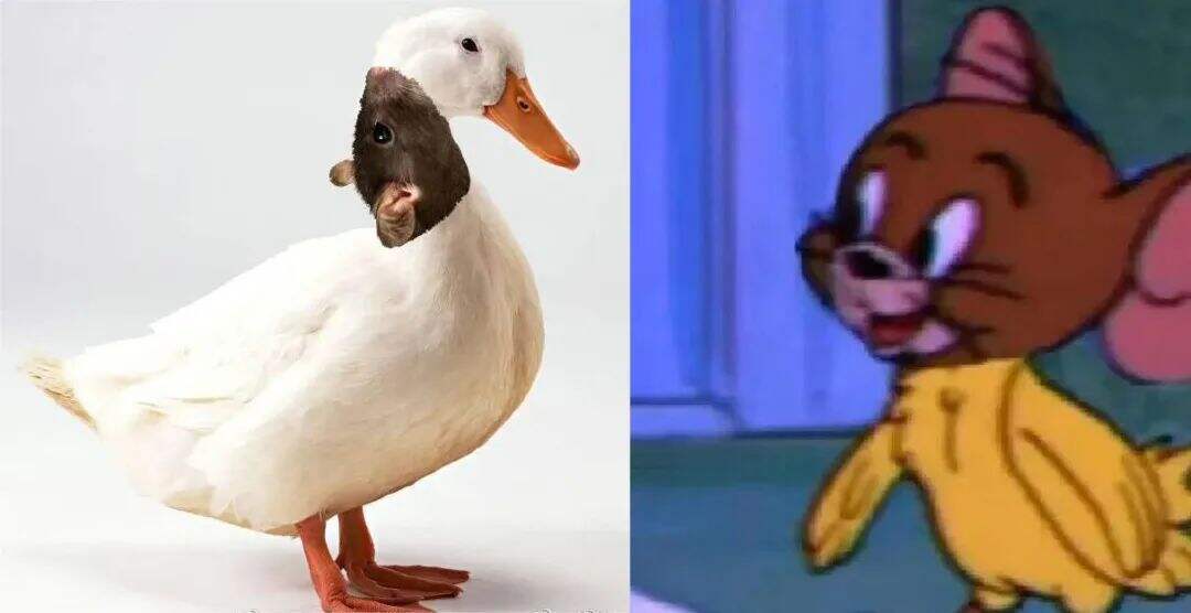 广告人干货库 广告人干货库