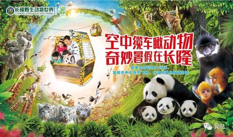 广告人干货库 你到底需要「广告」,还是「咨询」?-广告人干货库
