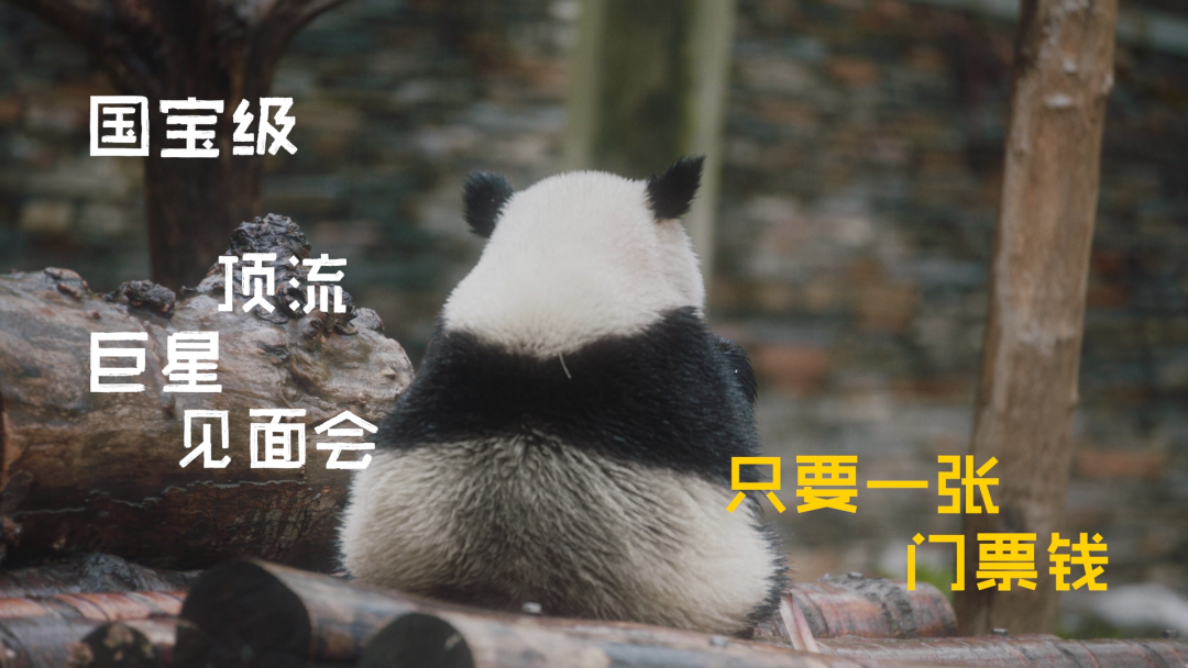 美团：万能的门票-广告人干货库