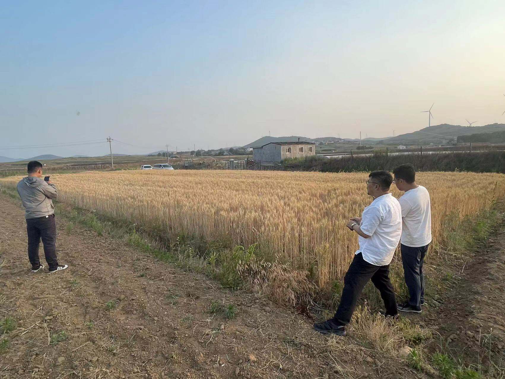 广告人干货库 爱说黑话的互联网大厂,能有多实在?-广告人干货库