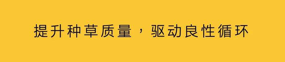 广告人干货库 种草,从项目到日常-广告人干货库