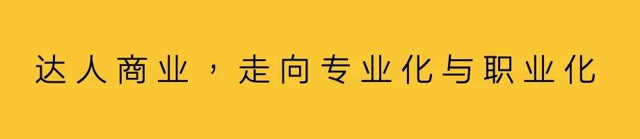 广告人干货库 达人商业内容,建立标准与共识-广告人干货库