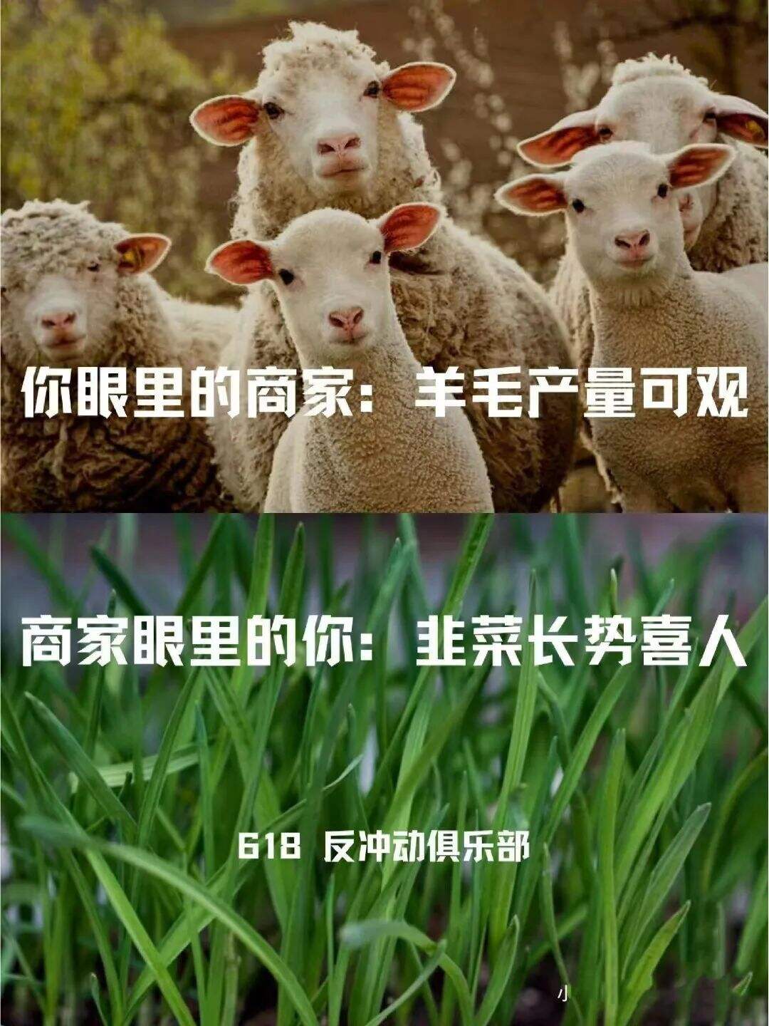 广告人干货库