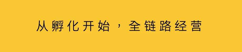 广告人干货库 趋势——新品复兴-广告人干货库