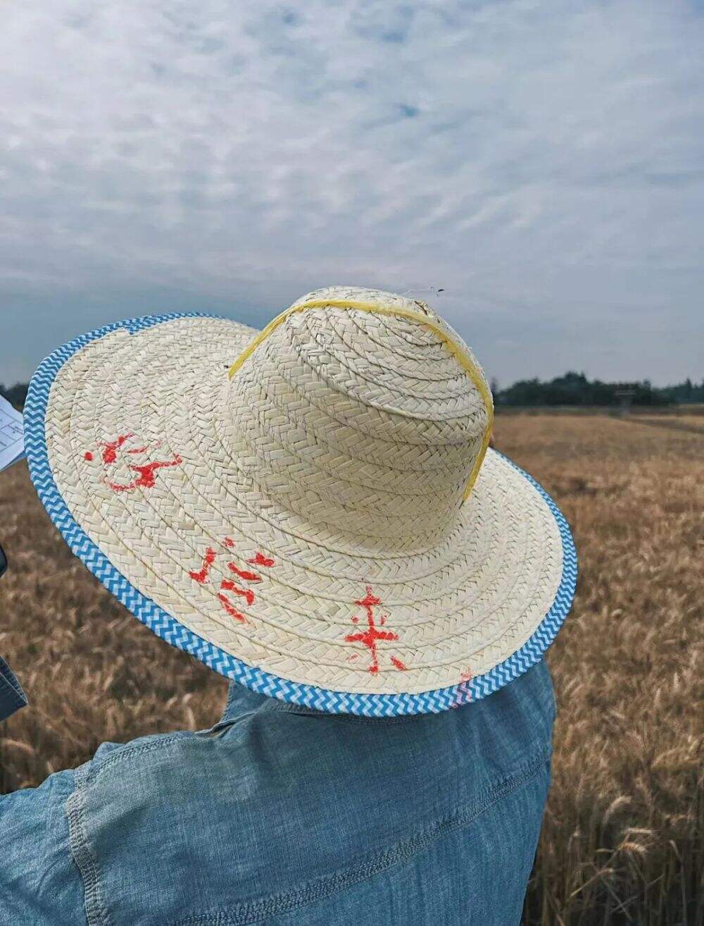 广告人干货库