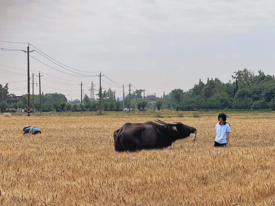 广告人干货库