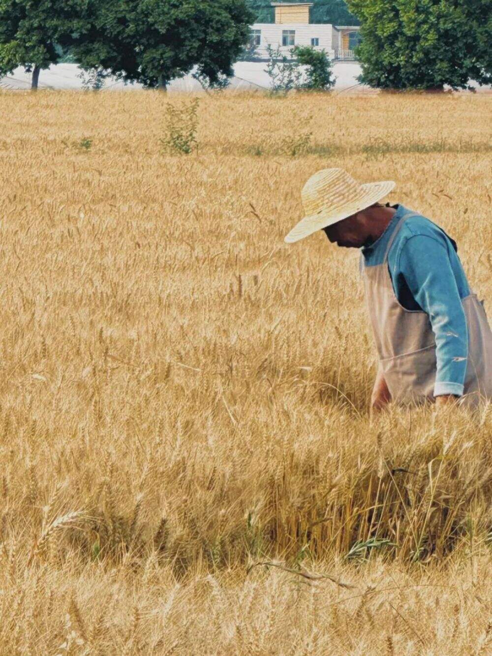 广告人干货库