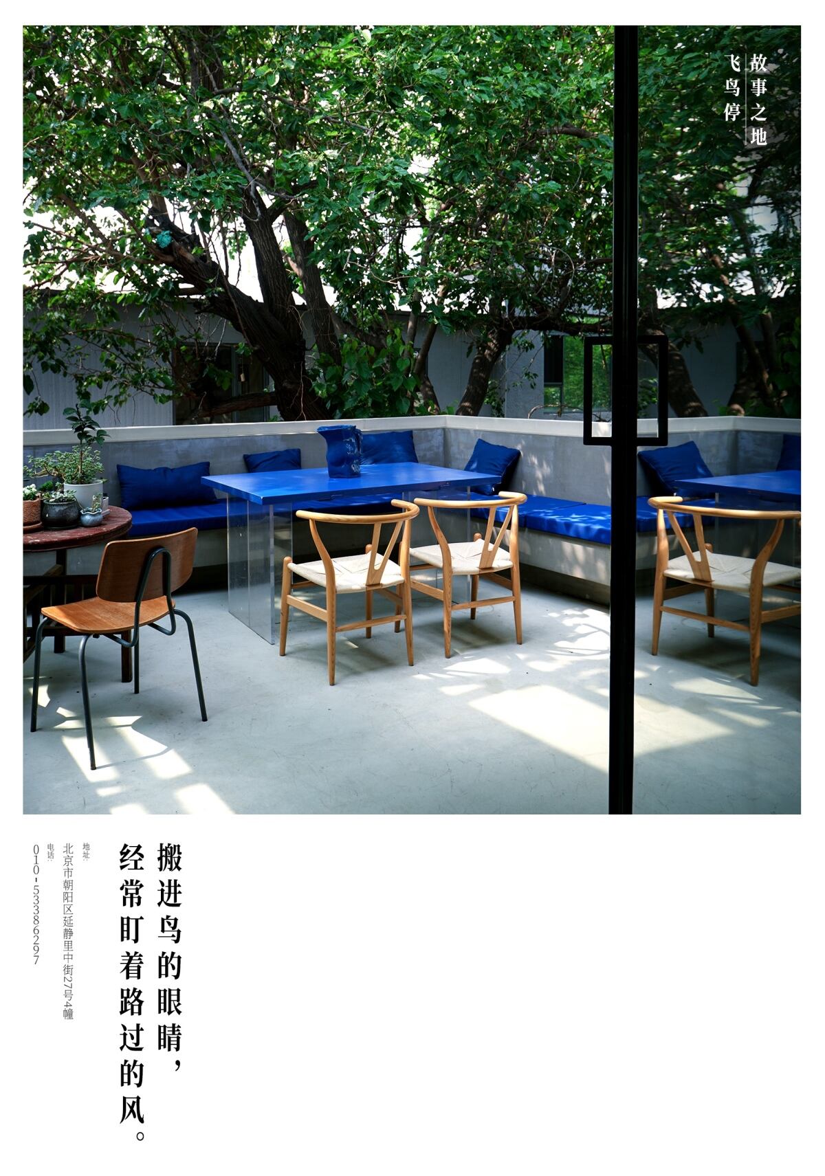SG胜加北京搬家，他有14个新想法-广告人干货库