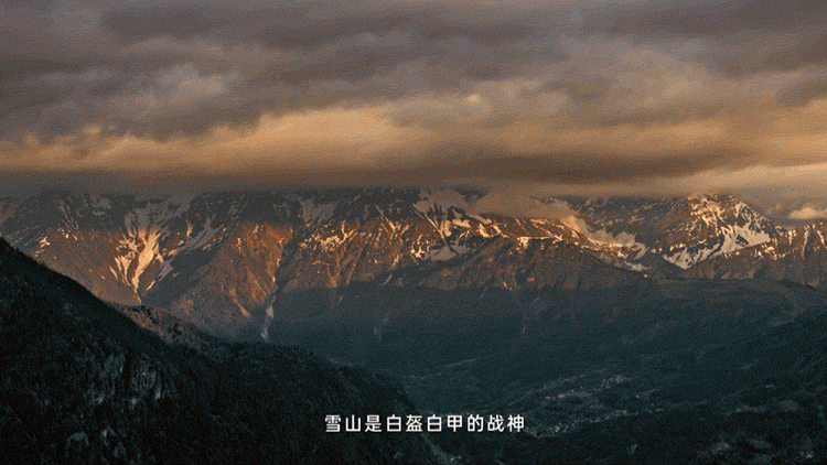 广告人干货库 OPPO邀杨丽萍,以灵动影像回敬万物生灵-广告人干货库