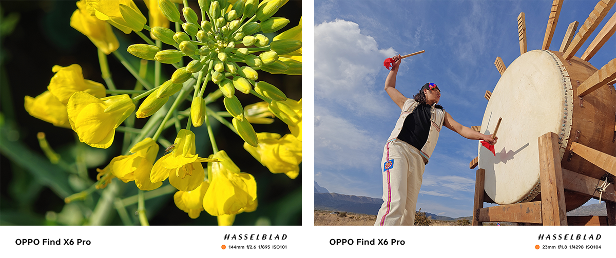 广告人干货库 OPPO邀杨丽萍,以灵动影像回敬万物生灵-广告人干货库