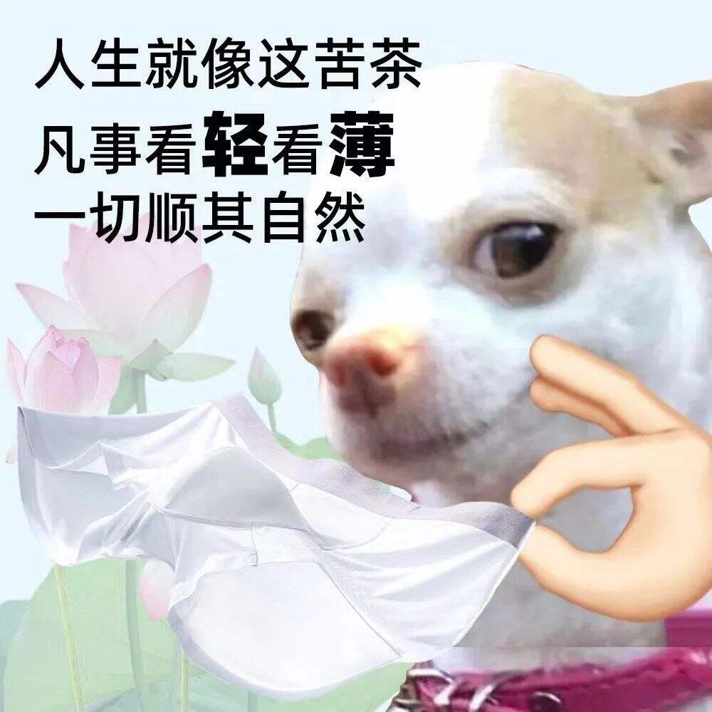 广告人干货库 淘宝为濒临倒闭的内裤商家出招,网友却说:求你收手吧,别帮了!-广告人干货库