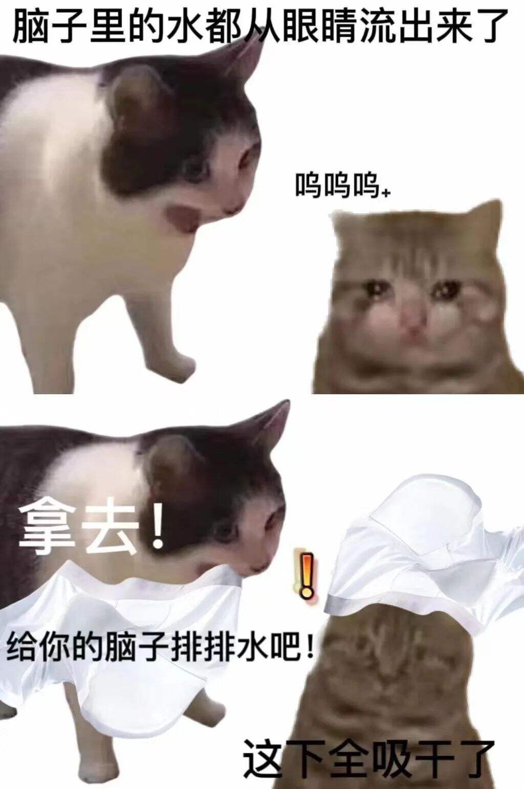 广告人干货库 淘宝为濒临倒闭的内裤商家出招,网友却说:求你收手吧,别帮了!-广告人干货库