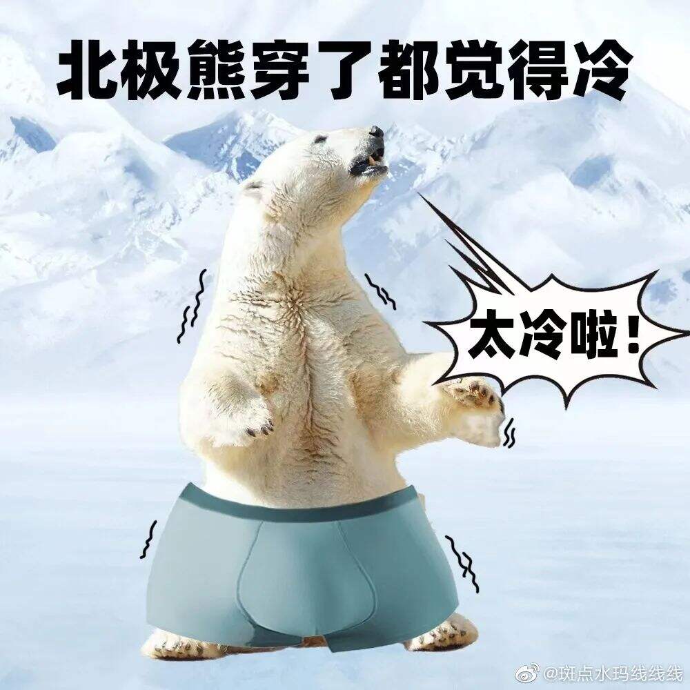 广告人干货库 淘宝为濒临倒闭的内裤商家出招,网友却说:求你收手吧,别帮了!-广告人干货库