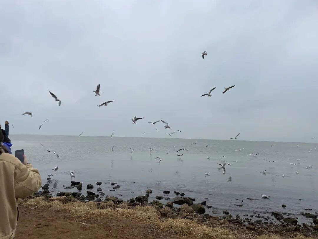 广告人干货库
