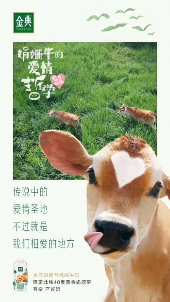 广告人干货库 广告人干货库