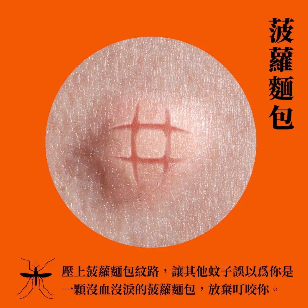 广告人干货库 台湾全联出书,「蚊」风丧胆-广告人干货库