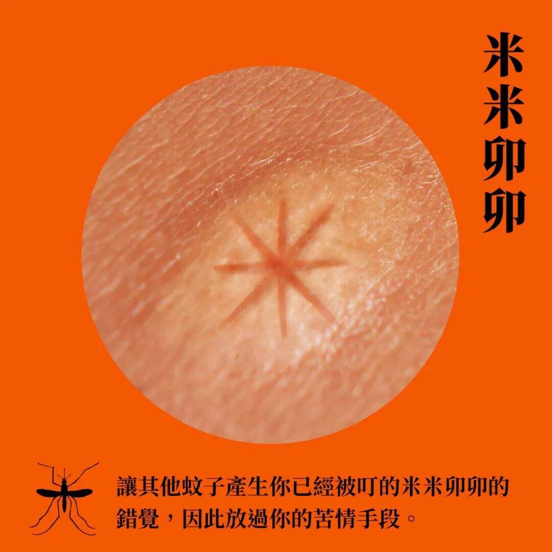广告人干货库 台湾全联出书,「蚊」风丧胆-广告人干货库