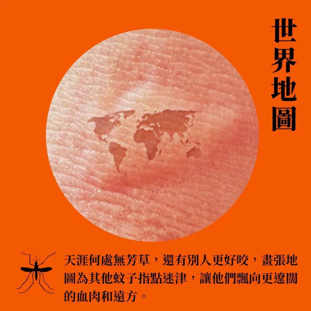 广告人干货库 台湾全联出书,「蚊」风丧胆-广告人干货库