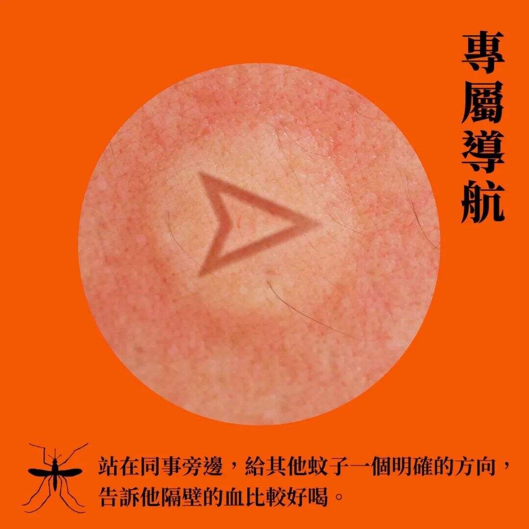广告人干货库 台湾全联出书,「蚊」风丧胆-广告人干货库