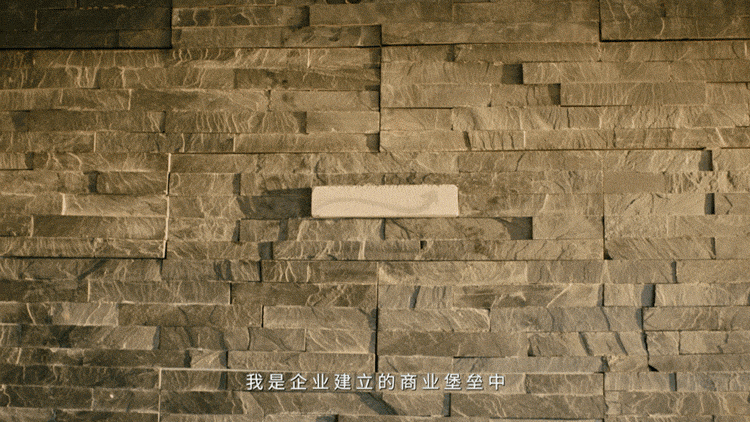 广告人干货库 LxU × 招商银行|我们给中国企业送了一块砖-广告人干货库