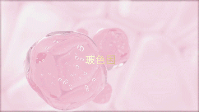 广告人干货库
