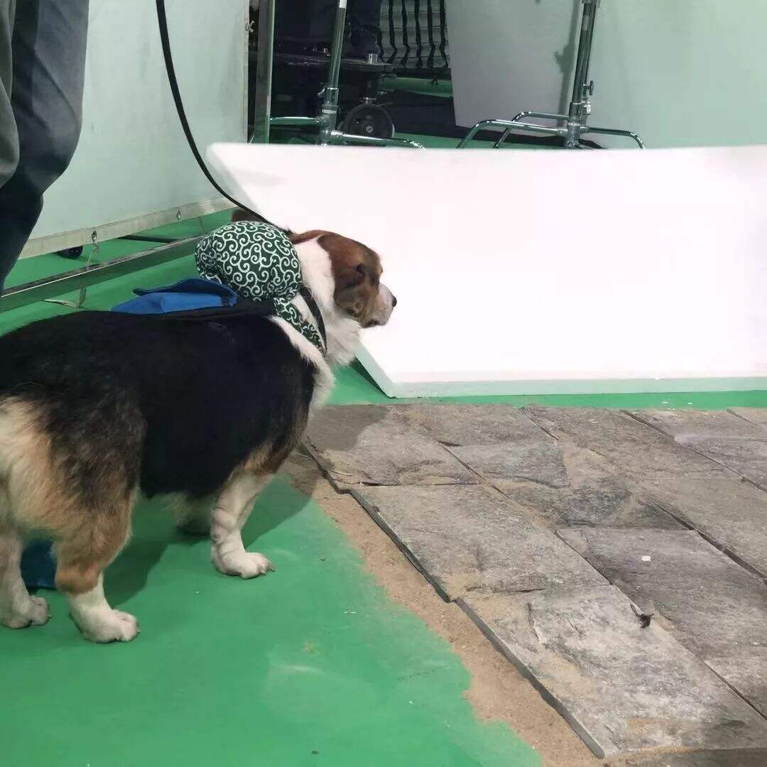 广告人干货库 广告人干货库