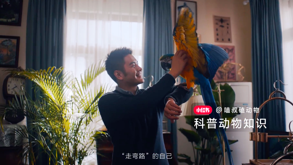 广告人干货库 小红书:我们是怎样的一代,不着急回答,走着瞧!-广告人干货库