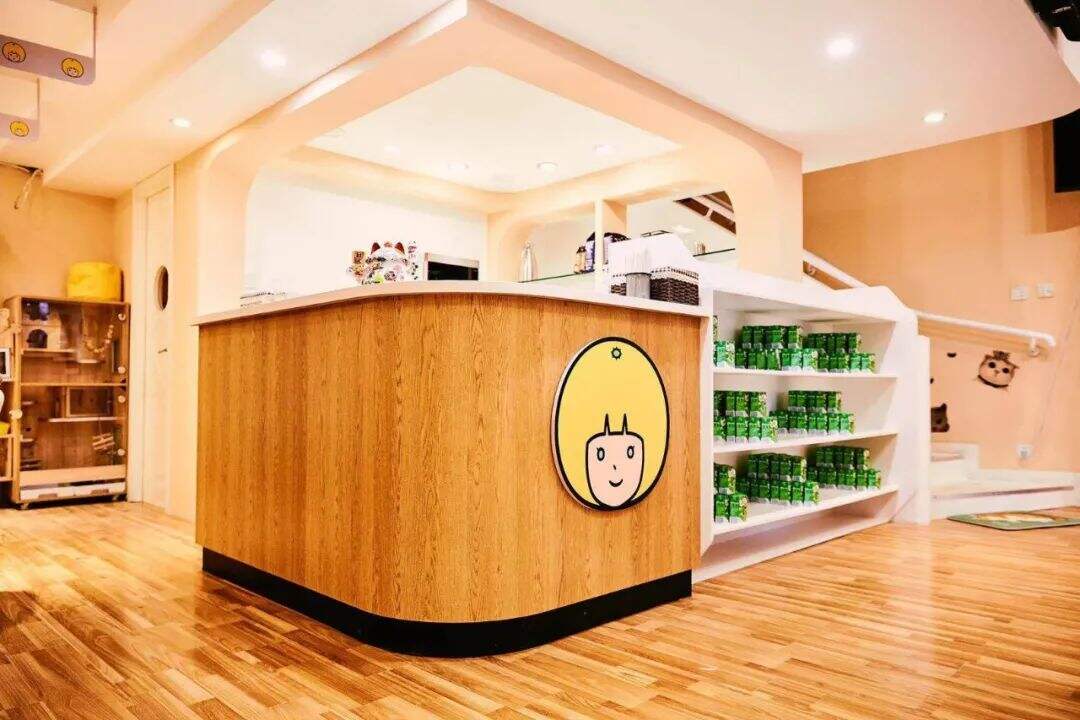 广告人干货库 优酸乳 X 优力丨不只网红产品,这次我们为品牌打造了一个网红地标-广告人干货库